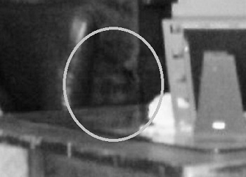 Real Ghost Photos