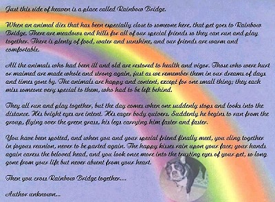 Rainbow Bridge Poem