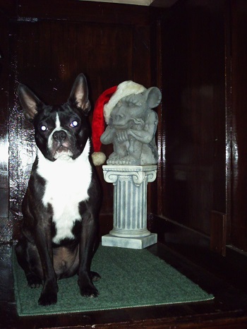 Upstairs Bedroom 2 at Christmas