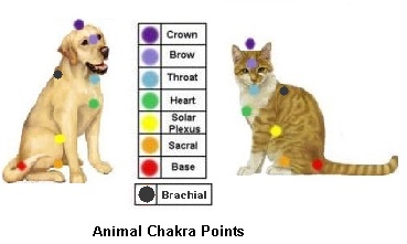 Healing Crystals For Pets