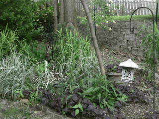 dddavids Ghost Cams Victorian Garden