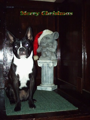 Wesley and the Gargoyle Christmas Card